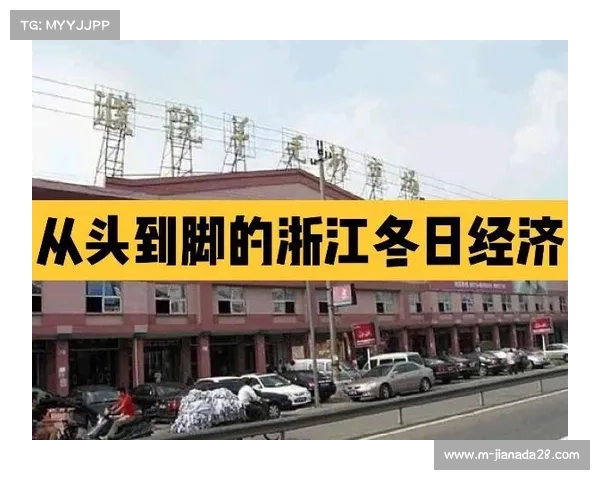 中产阶级消费降级中的身份符号转变:从万元羽绒服到中产三件套的选择 中产阶级消费降级中的身份符号转变:从万元羽绒服到中产三件套的选择