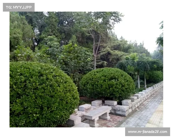 千余名剑客同台竞技 菊城杯击剑公开赛在古都开封圆满落幕 千余名剑客同台竞技 菊城杯击剑公开赛在古都开封圆满落幕