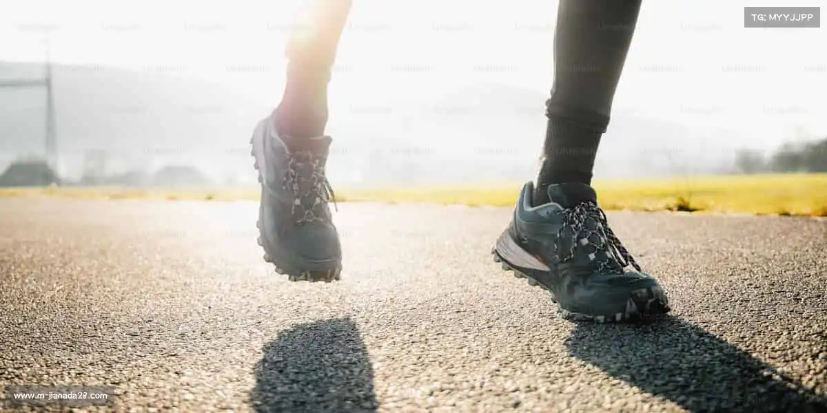 加拿大28预测——🏹射箭靶心，百步穿杨！